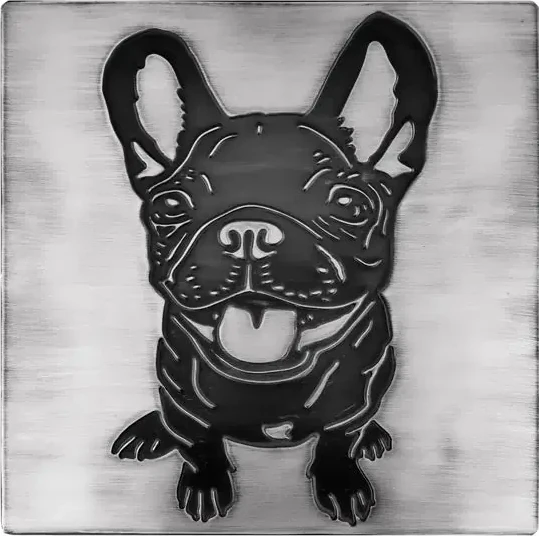 Cute French Bulldog on steel tile