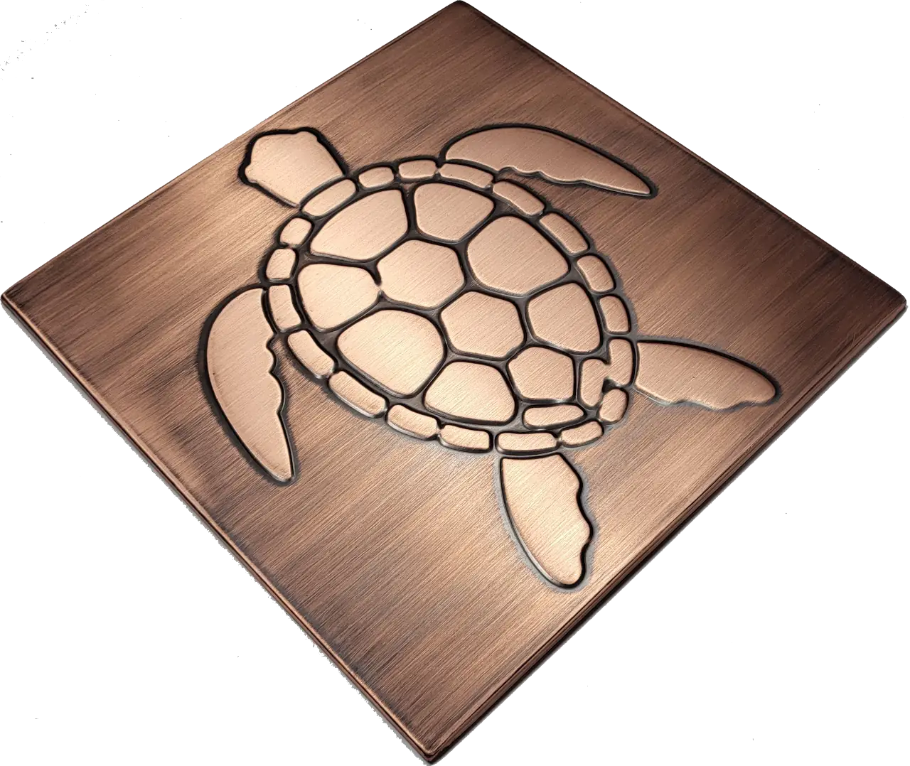 sea turtle in wodden frame 4