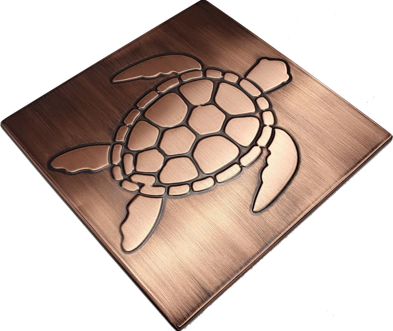 sea turtle in wodden frame 5