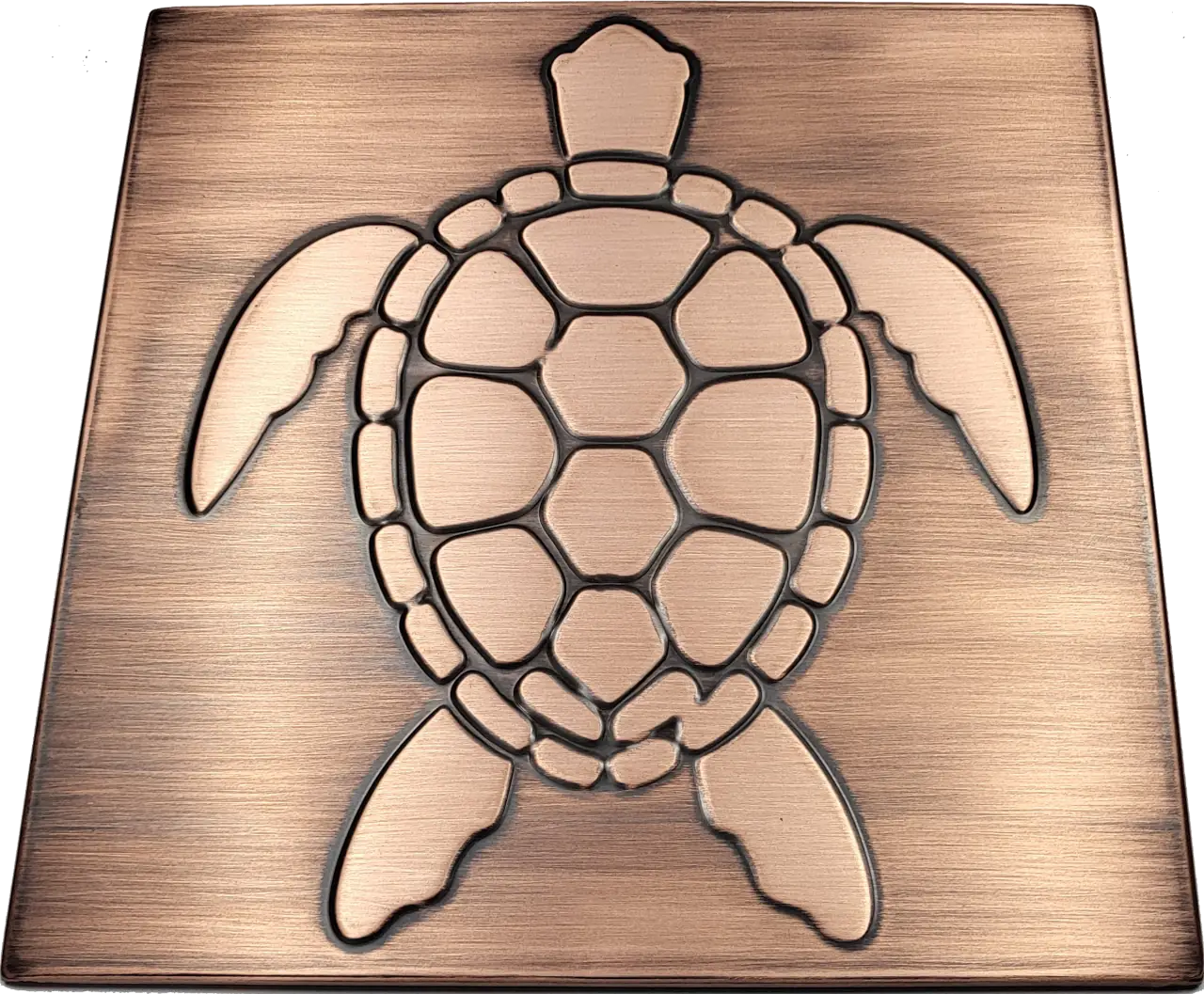 sea turtle in wodden frame 6