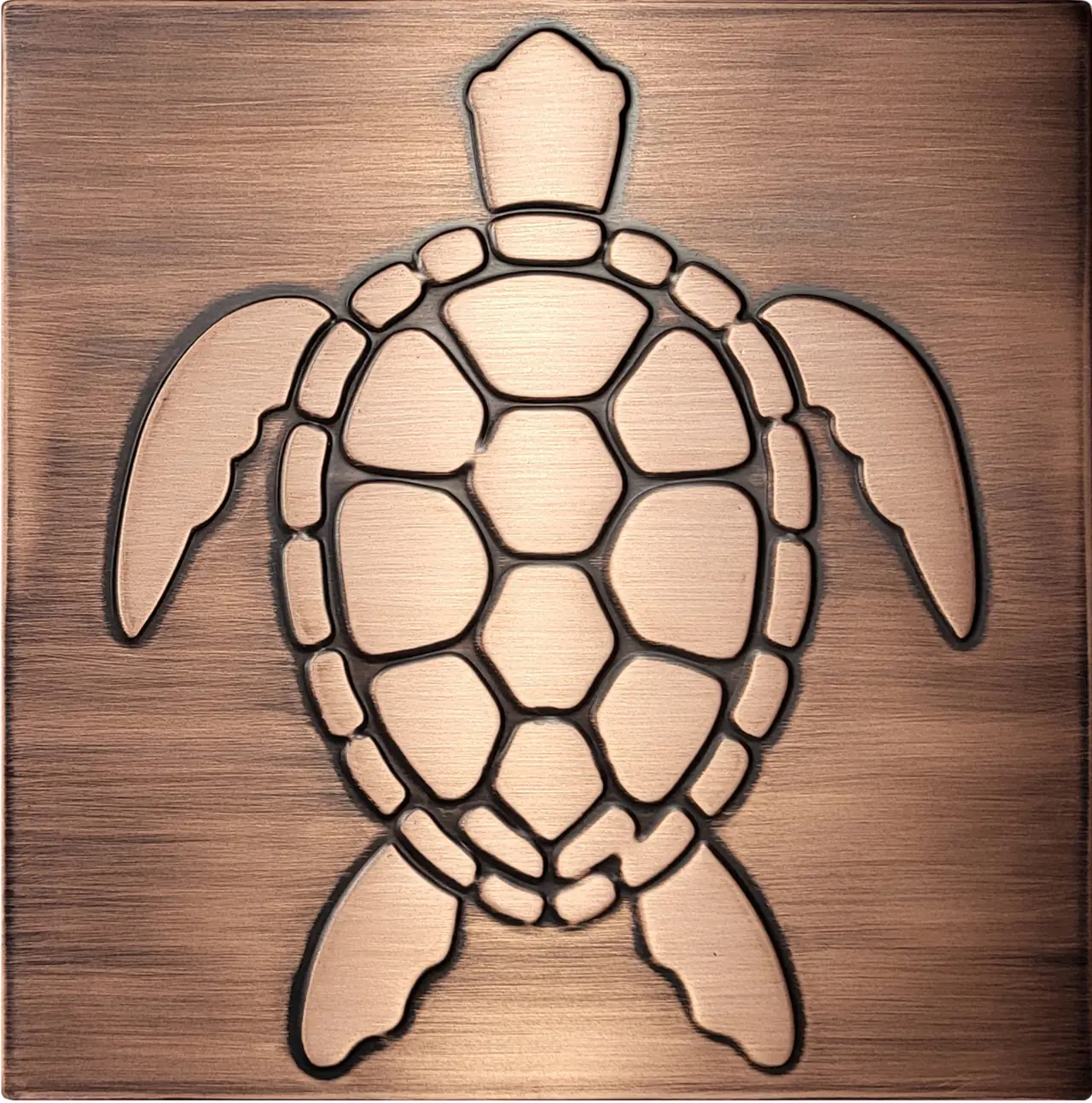 sea turtle in wodden frame